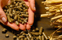 free Twinhoe biomass boiler quotes