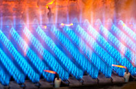 Twinhoe gas fired boilers